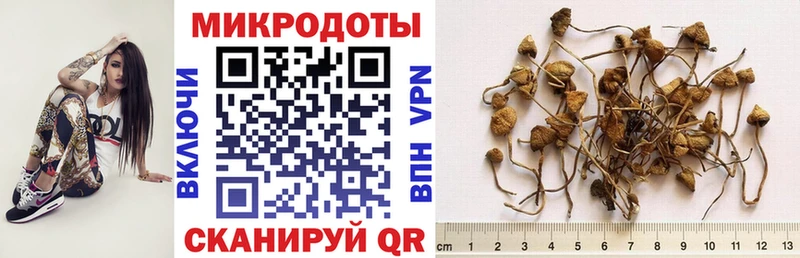 Псилоцибиновые грибы ЛСД  Котовск 